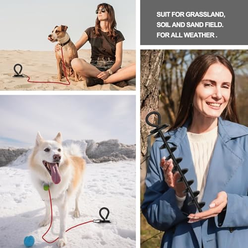 Image of Eurmax USA 2-Pack Heavy Duty Dog Tie Out Stake, No-Tangle In Ground Anchor Runner for Large Dogs up to 210 Lbs - Perfect for Yard, Beach and Camping (Large,Black)