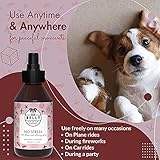 Belly - Anti Stress Spray Beruhigungsmittel für Hunde - Hunde Beruhigungsmittel wirkt wie Baldrian für Hunde - auch für Welpen - einfacher als Tabletten,Hunde Relax Spray,Beruhigungsmittel Hund 250ml