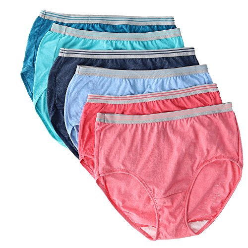 Fruit of the Loom Women's Heather Brief Underwear (6 Pair Pack), 7, Multi
