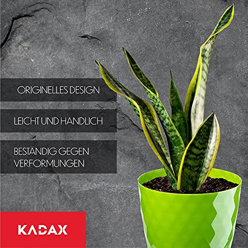 KADAX Blumentopf mit Untersetzer aus Kunststoff Ø25cm, Grün, Pflanzkübel für Innen- & Außenbereich… – Ansicht 7