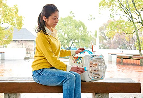 Caixa Transporte Friends Forever Nº1 Verde Friend Forever para Cães