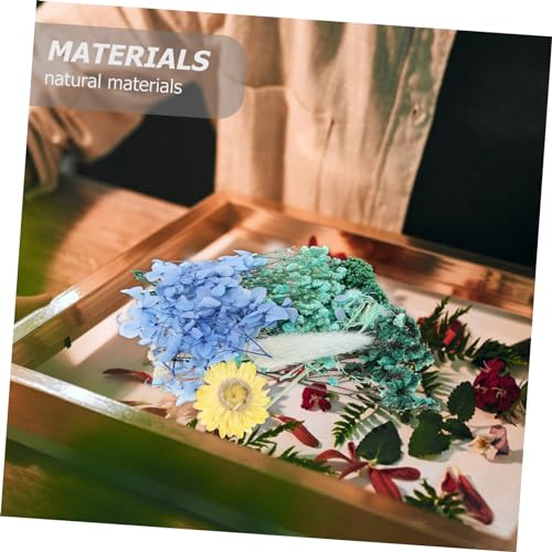 Flores naturales prensadas para manualidades y decoración miniatura 3