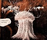 Pyramid Song / Amazing Sounds Orgy / Trans Atlanti