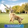 Interactive Dog Exercise Toy