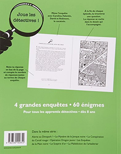 Les rubis de la reine de Catyminie: 60 énigmes à