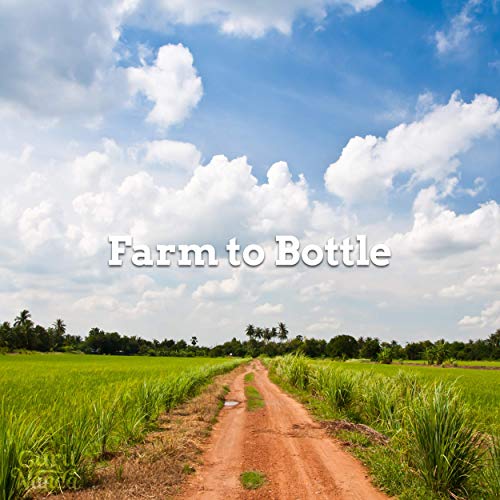 Gurunanda Lemongrass Essential Oil (Pack Of 2 X 0.5 Fl Oz) - 100% Pure, Premium Therapeutic Grade Oil For Cleansing And Rejuvenation, Aromatherapy For Hair And Face Care, Fresh Citrus Scent #TOP6