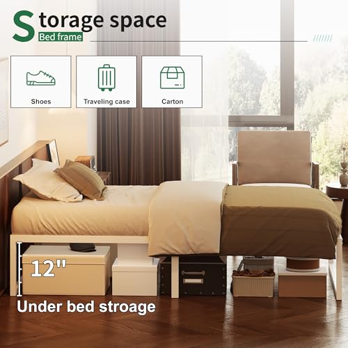 Recopilación de Box Individual para comprar hoy. 9 Imagen adicional