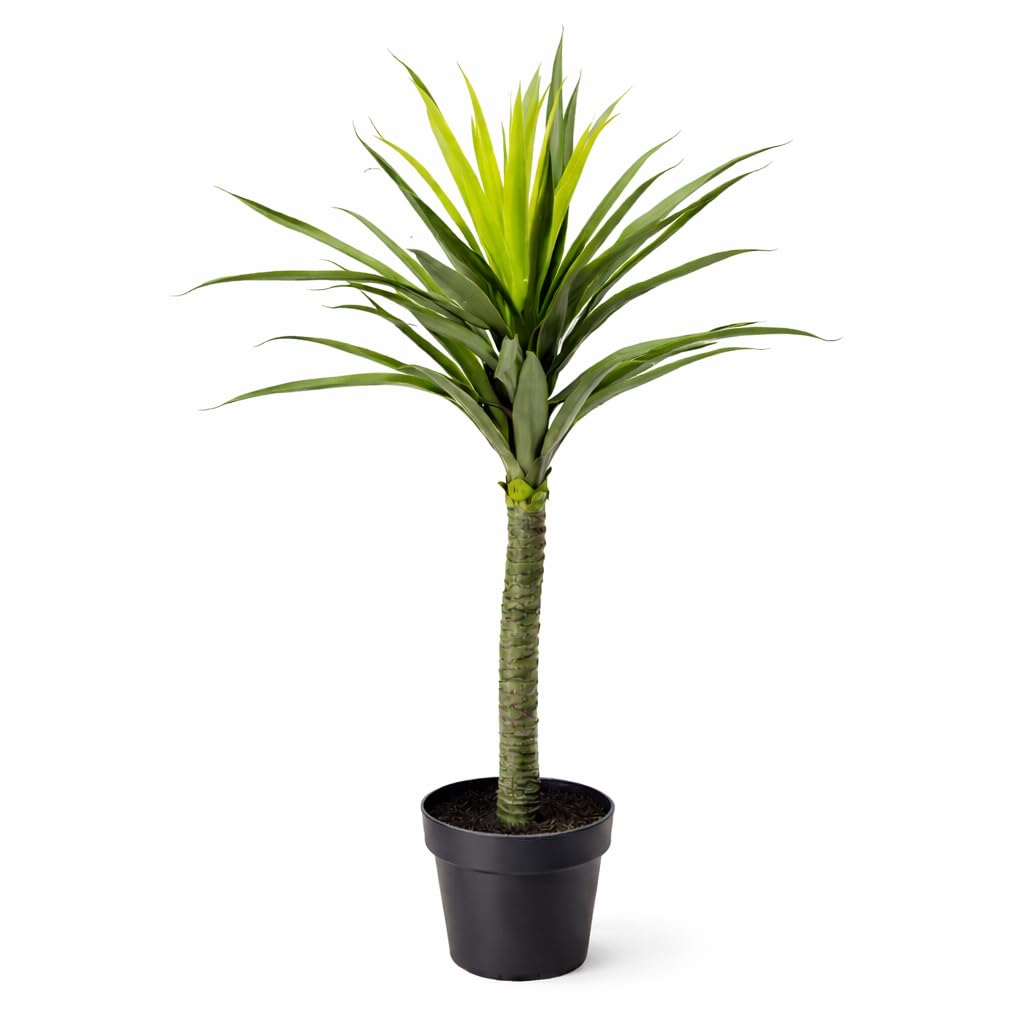 Leaf LEAF-7010 90cm (3ft) Large Artificial Spiky Tree Plant Realistic, Yukka Green