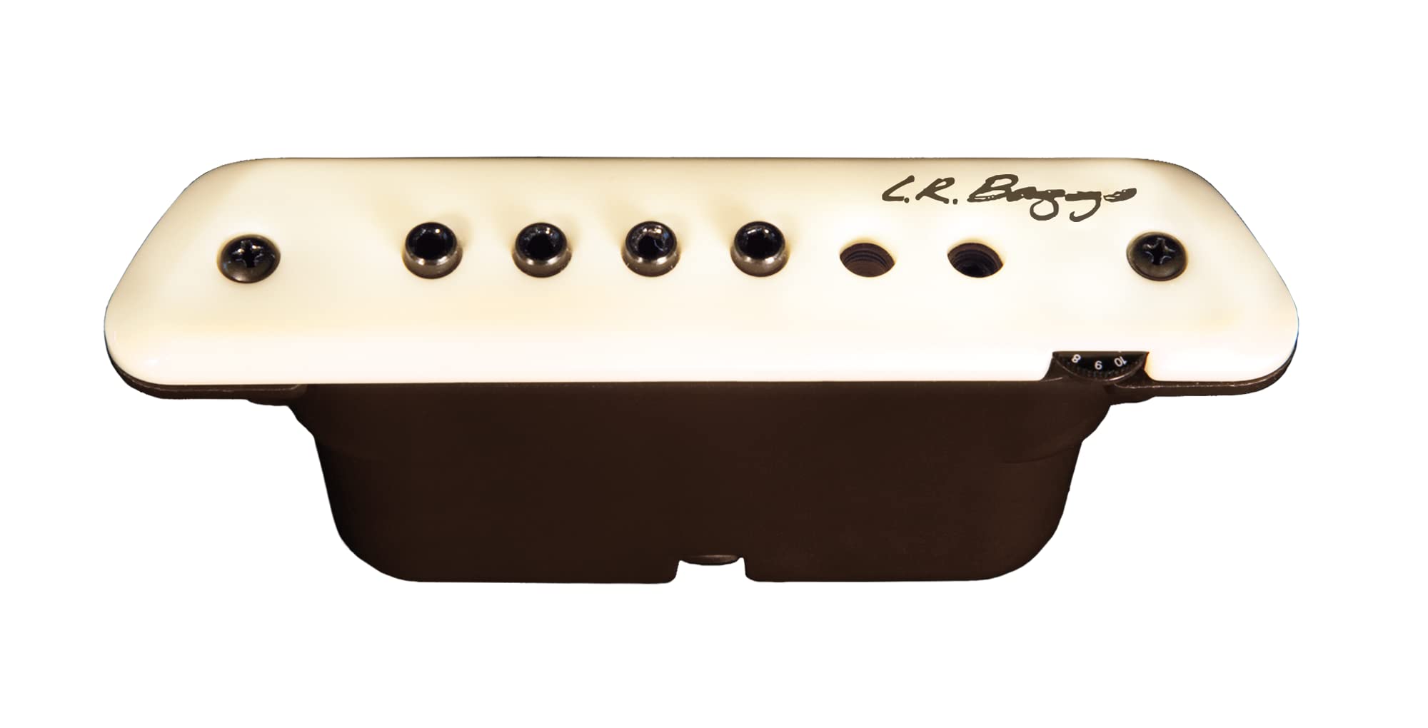 Amazon.com: L.R. Baggs M1 Active Acoustic Guitar Magnetic