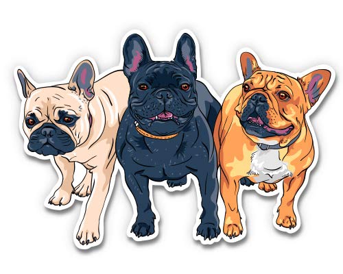 GT Graphics Express Frenchies Cute French Bulldogs - 8" Vinyl Sticker - for Car Laptop I-Pad - Waterproof Decal