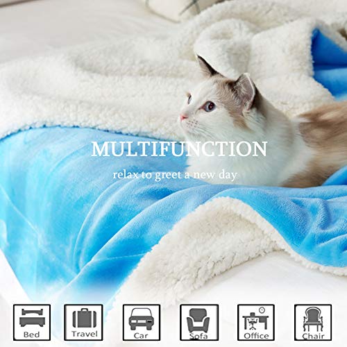 Sonoro Kate Sherpa Fleece Blanket Queen Size - Luxurious Double Reversible Super Soft Thick Fuzzy Plush，Warm Cozy Fluffy Couch Throw Velvet Queen Blanket For Bed (Queen, Light Blue) #TOP1