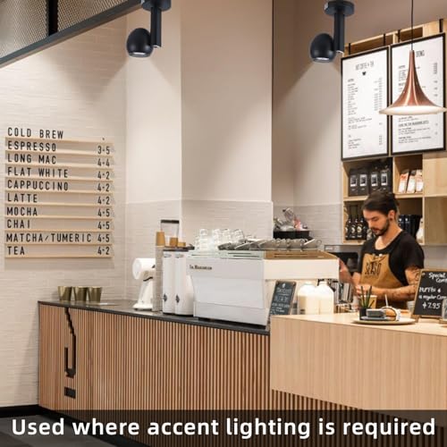Image of Led Ceiling Spotlight 5 Color Temperature Adjustable Dimmable Round 12W Spot Light Indoor CRI95+ Flush Mount Lights Fixture Beam Angle 24 Degrees Accent Lighting Black 1 Pack