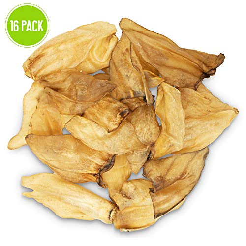 Buffalo Ear Dog Chew and Treat - Image 6