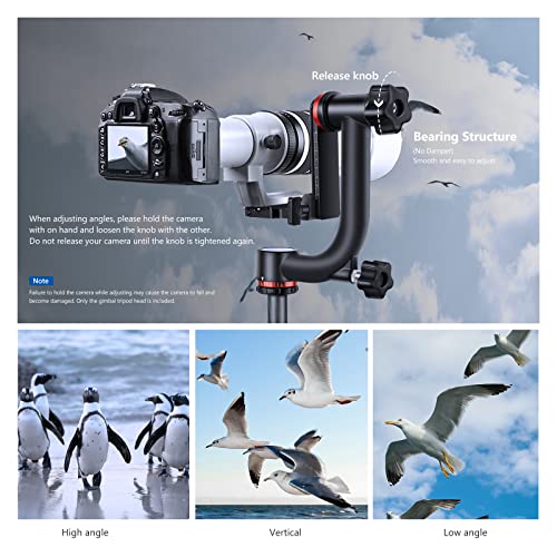Image of NEEWER Gimbal Tripod Head Professional Heavy Duty Aluminum Alloy with Arca Type Quick Release Plate, GM101 Supports Smoother 360 Degree Panoramic Shooting for DSLR Camera Up to 30lbs /13.6kg