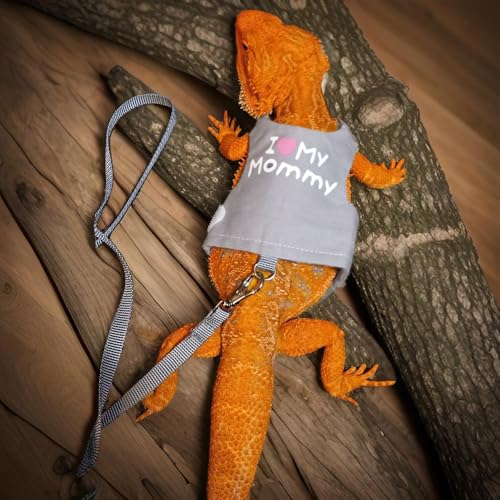 Image of Bearded Dragon Leash and Harness, Adjustable Lizard Reptiles Harness Clothes with 4.76ft Leash, Small Pets Harness and Leash Set for Lizards Ferrets Hamsters Walking Training Outdoor