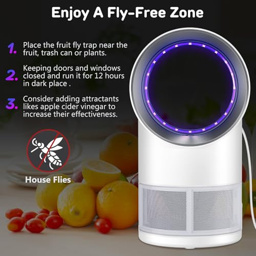 Image of Fly Trap Indoor,Gnat Traps House Indoors, Indoor Insect Trap with Timer, Pack of 10 Refills (White)