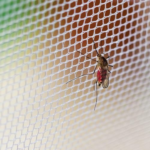 Image of Machardani Net Double Bed King Size - 7x7 Ft Mosquito Netting for Bed (White)