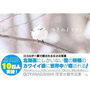 ゆきのようせい