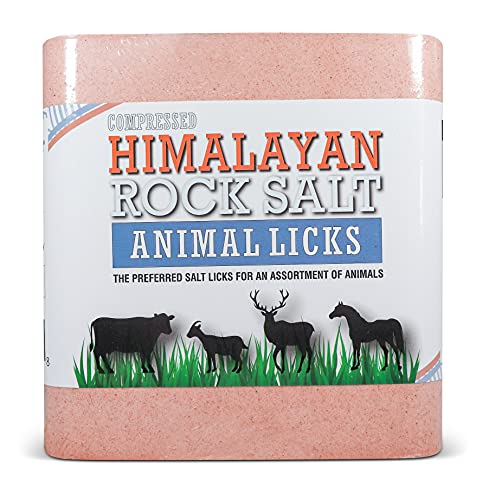 Himalayan Secrets 22 lb Compressed Salt Lick