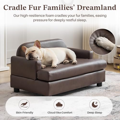 Elevated Pet Couch Waterproof