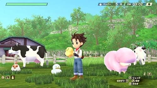 マーベラス 牧場物語 Welcome! ワンダフルライフ オンラインコード版サムネイル4