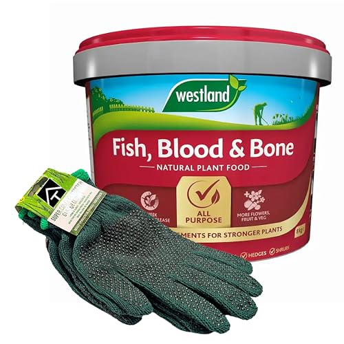 Fish Blood & Bone Plant Food with Garden Gloves - 8kg All Purpose Natural Fish Blood & Bone Fertiliser with 2 Pairs of Gloves for Gardening. Growmore Fertilizer Plant Feed Granules