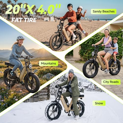 Image of TS TST GRP LLC Electric Bike for Adults, 20 inch x4.0 Fat Tire Retro E Bike