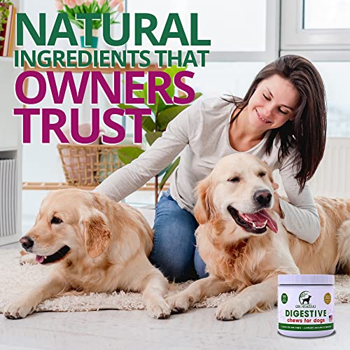Genuine Naturals Digestive Supplement For Dogs - Recommended Probiotics Chew By Furparents - Improves Digestive And Gut Health, Helps With Diarrhea, Upset Stomach, Bad Breath & Constipation, 120 Count #TOP2
