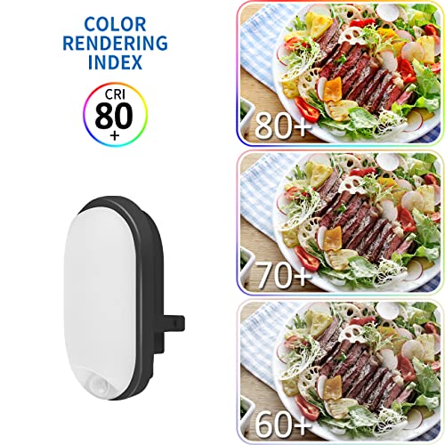 ANWIO Plafoniera LED Impermeabile da Parete per