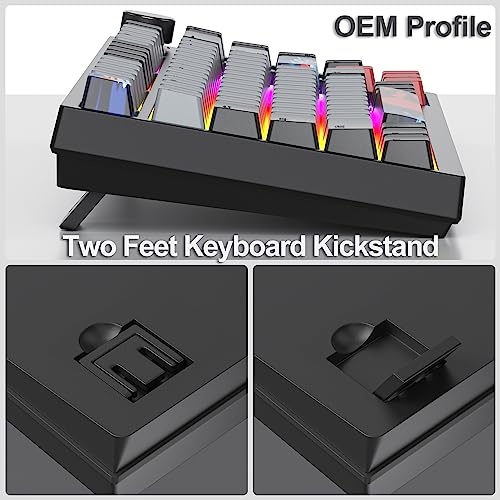 Image of Fogruaden Wired 75% Mechanical Keyboard, Hot Swappable Gasket Mount With Red Switch, RGB Backlit 82 Keys TKL, NKRO Compact Gaming With Knob (Dolch)