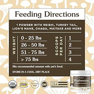   Fera-Pets-Mushroom-Supplement-for-Dogs-Cats-Vet-Created-for-Cognition-Immune-System--Organic-Lions-Mane-Shiitake-Mushrooms-120-Scoops