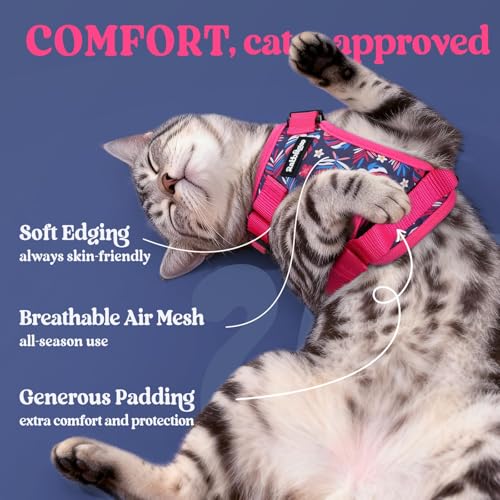 Image of rabbitgoo Cat Harness and Leash Set, Escape Proof Vest, Coconut Fuchsia