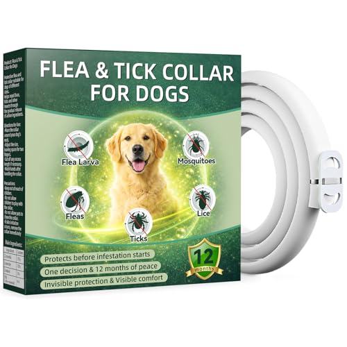 Collare Antiparassitario per Cani 65cm con Oli Essenziali di Citronella e Lavanda, Collare Antipulci Cane Naturale contro Pulci e Zecche, Adatto per Cani di Media e Grande Taglia