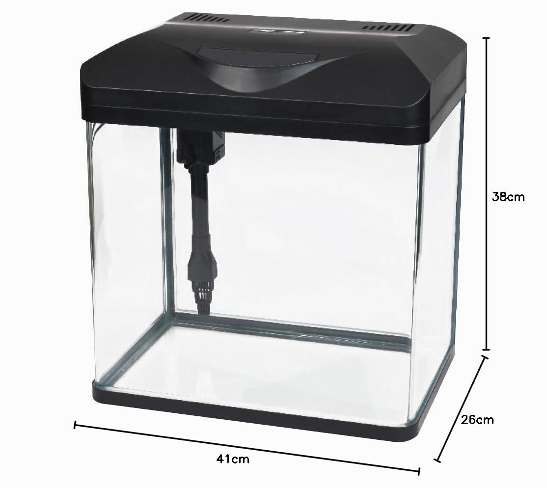 Amtra Laguna Led 40 - Acuario De Cristal De 30 Litros Con Tapa, Iluminación Led Y Filtro Incluido, 38X26X41 Cm