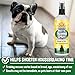 Bodhi Dog Potty Training Spray - Puppy & Dog Training Aid for Indoor & Outdoor Attractant Spray Use - Encourages Proper Dog Pee Here Habits - Safe for Pets & Home - Made in The USA (8 Fl Oz)