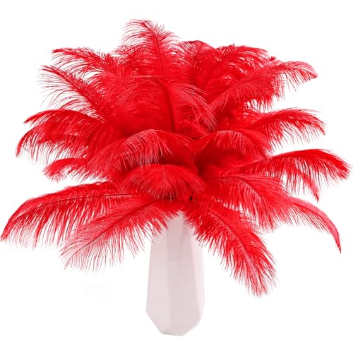 THARAHT Red Ostrich Feathers 12pcs Natural Bulk 8-10Inch 20cm-25cm for Crafts Wedding Party Centerpieces Flower Arrangement Halloween and Home Decoration Feathers