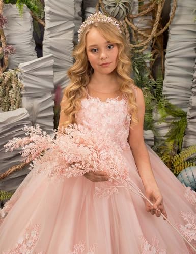 Lace Applique Flower Girl Dress for Wedding Tulle Pageant Dresses Puffy Party Dress A Line Ball Gowns3