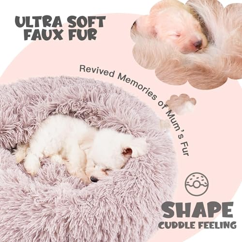 Himax Dog Beds for Small Dogs, Donut Dogs Beds with Blanket Attached, Calming Dog Bed Washable (20"/26"/35") Beige - Image 6