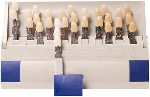 ZJchao Sombra de dientes, sombra de dientes, 29 colores extraíbles, tabla de sombra para blanquear los dientes