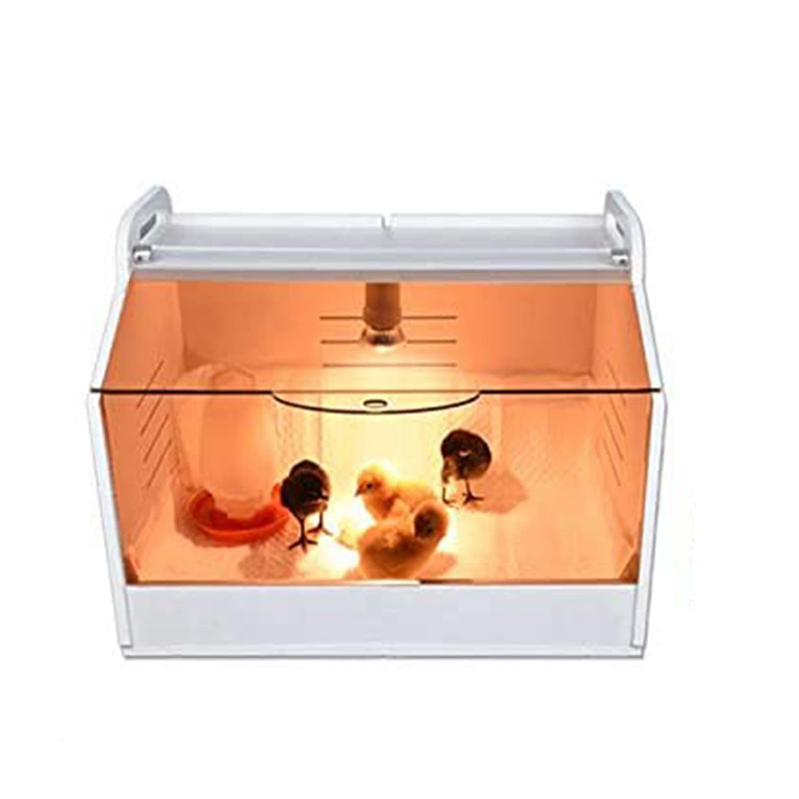 Chick Brooder, Baby kippenbenodigdheden, Chick Brooder verwarmingsplaat, Brooder verwarming voor kippen, in hoogte verstelbare Chick Brooder voor hatching eenden, kippen en vogels (kleur