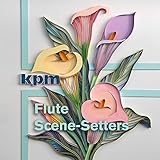 scene setter 48 manual  Flute Scene-Setters