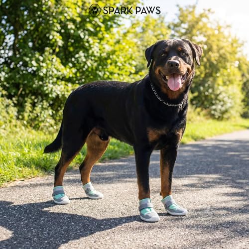Image of Spark Paws Dog Shoes for Large Small Medium Dogs Breathable Dog Booties for Hiking, Summer Hot Pavement Paw Protectors for Non Slip Rubber Dog Boots for Outdoor - (Turquoise, Size 7)