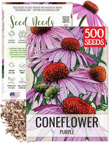 Seed Needs Coneflower Seeds for Planting Purple...