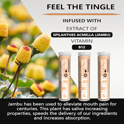 Image of Xero Picks Infused Flavored Toothpicks to Help Quit Smoking - Nicotine Free (Vanilla Latte, 3 Pack) Non-GMO Kosher Vegan