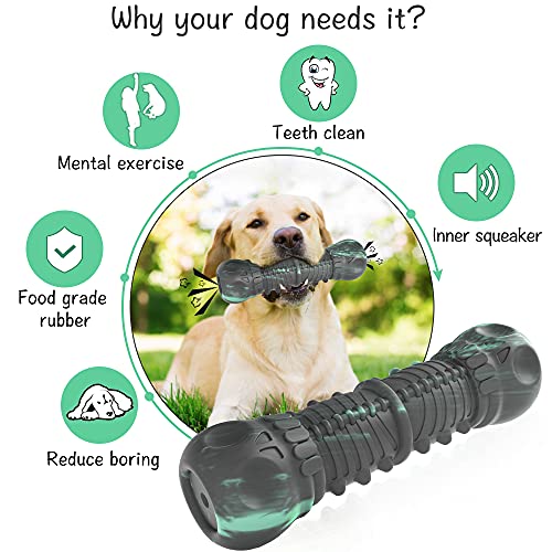 https://m.media-amazon.com/images/I/51SrgckdKOS._SL500_.jpg