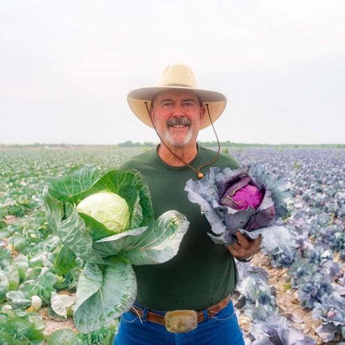 From Field to Food Bank: Rethinking How America Feeds Itself