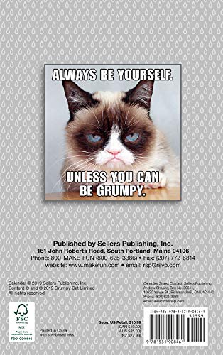 SELLERS PUBLISHING, INC. Grumpy Cat 2020 Daily Weekly Planner Organizer 18-Month: July 2019 - December 2020, 6" x 9" (CW0846)
