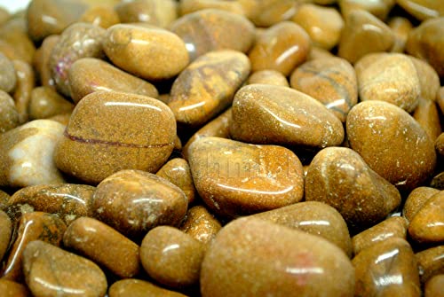 Image of Pebbles for Decoration - Pebbles for Plants Pots - Decorative Stones and Pebbles (1.9 Kgs, Brown Pebbles)