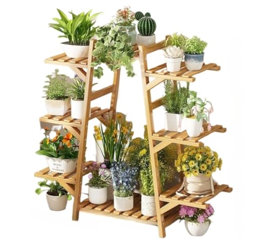 Fiozwea���F�K�i�I���A������s�K�������؂̃��r���O�~�͗΂̃t�B�I�Y�E�B�A�A���̉ԃX�^���h�K�i�̉ԃX�^���h (���F,8�w)