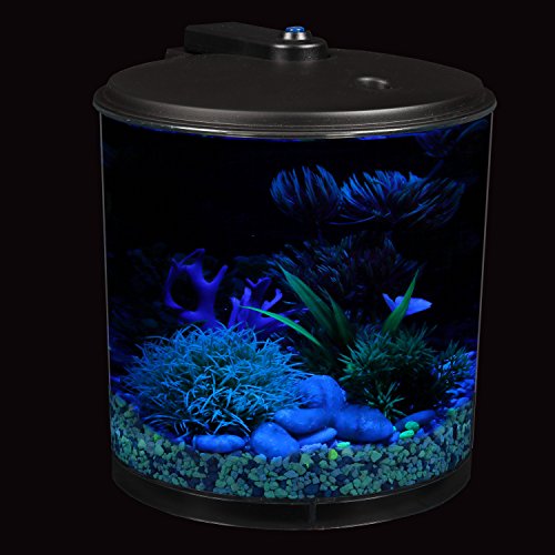 Koller Products AP360-2FFP Aquaview 2-Gallon Plastic 360 Aquarium With Power Filter & Led Lighting For Tropical Fish - Betta Fish thumb #13